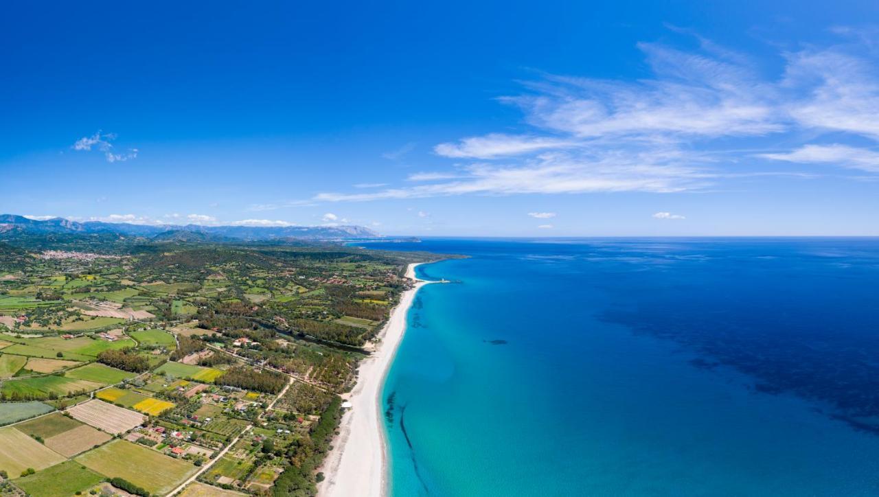 Casa Vacanze Il Mirto บารีซาร์โด ภายนอก รูปภาพ