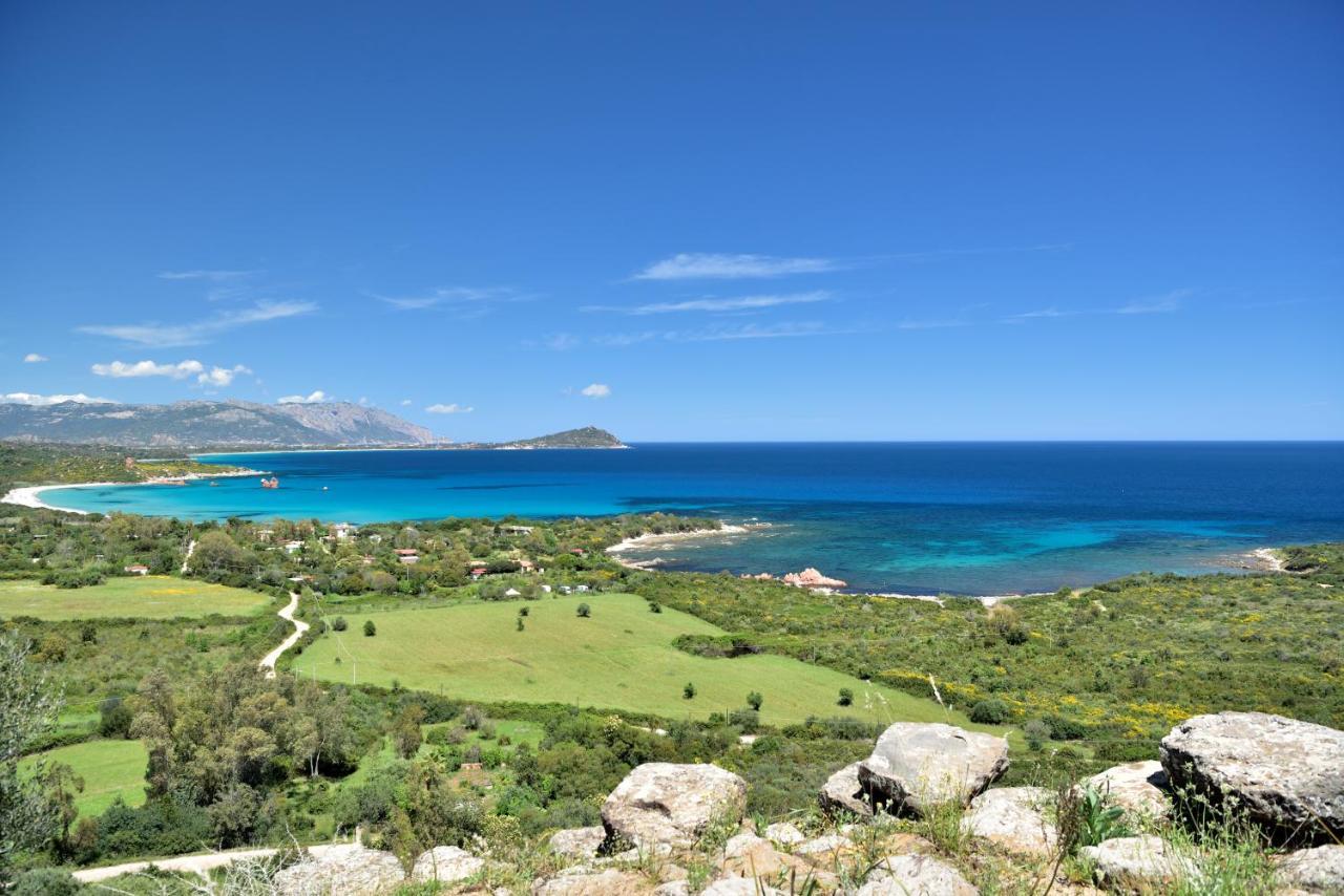 Casa Vacanze Il Mirto บารีซาร์โด ภายนอก รูปภาพ